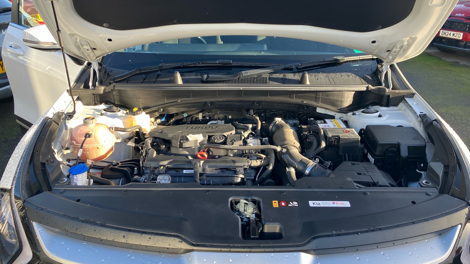 Used Kia Sportage 2022 for sale - 76821481: Photo 8