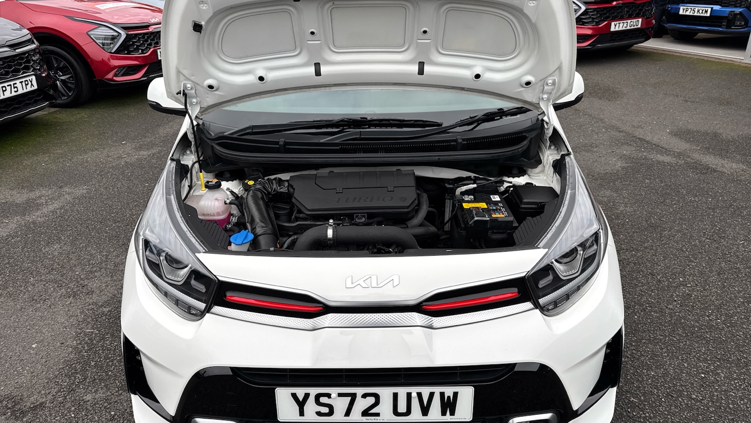 Used Kia Picanto 2023 for sale - 76490406: Photo 8