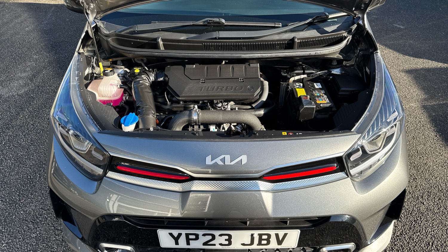 Used Kia Picanto 2023 for sale - 76505520: Photo 8