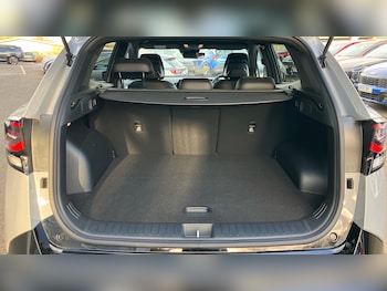 Used Kia Sportage 2026 for sale - 77965637: Photo