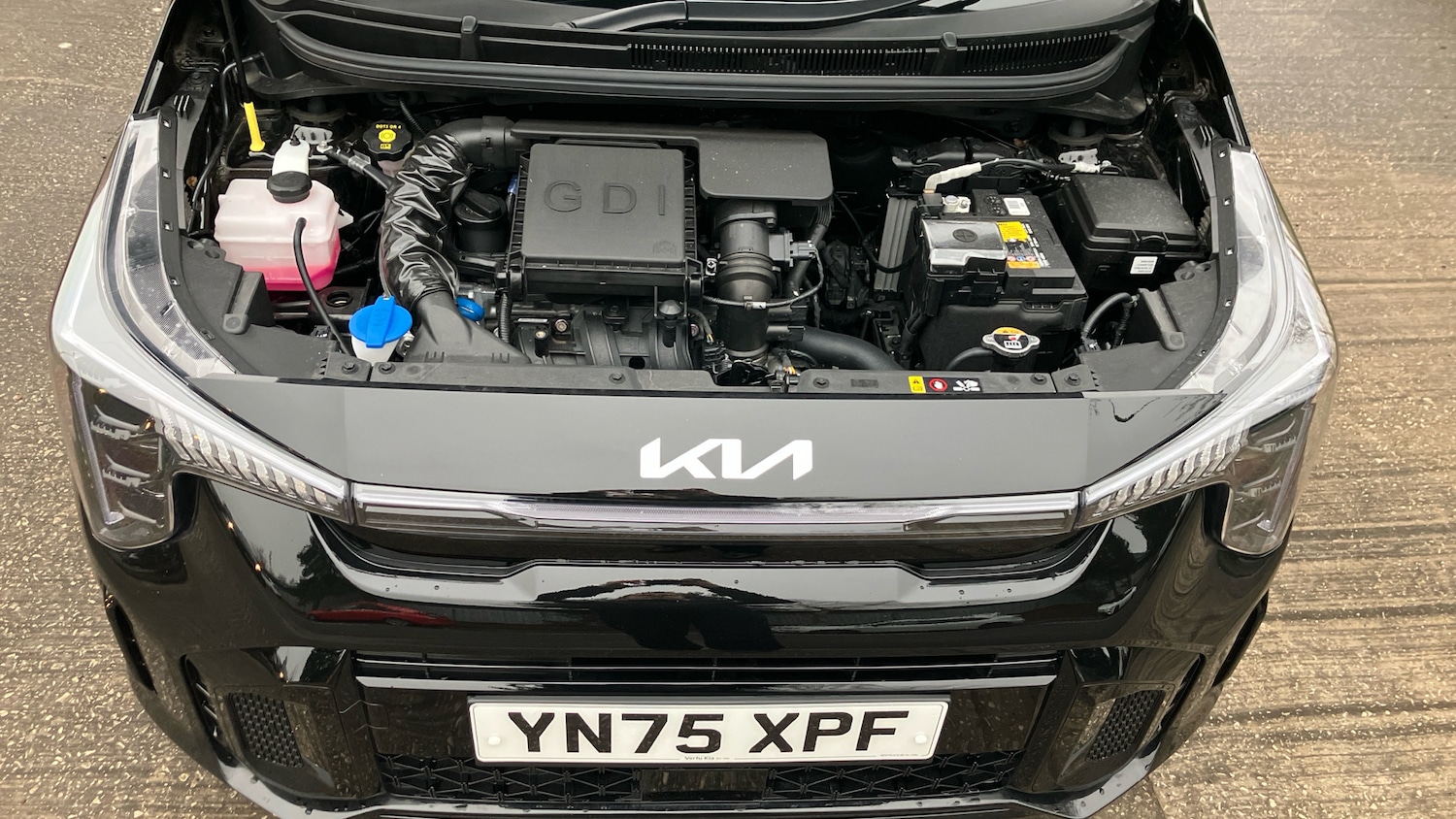 Used Kia Picanto 2025 for sale - 77104038: Photo 8