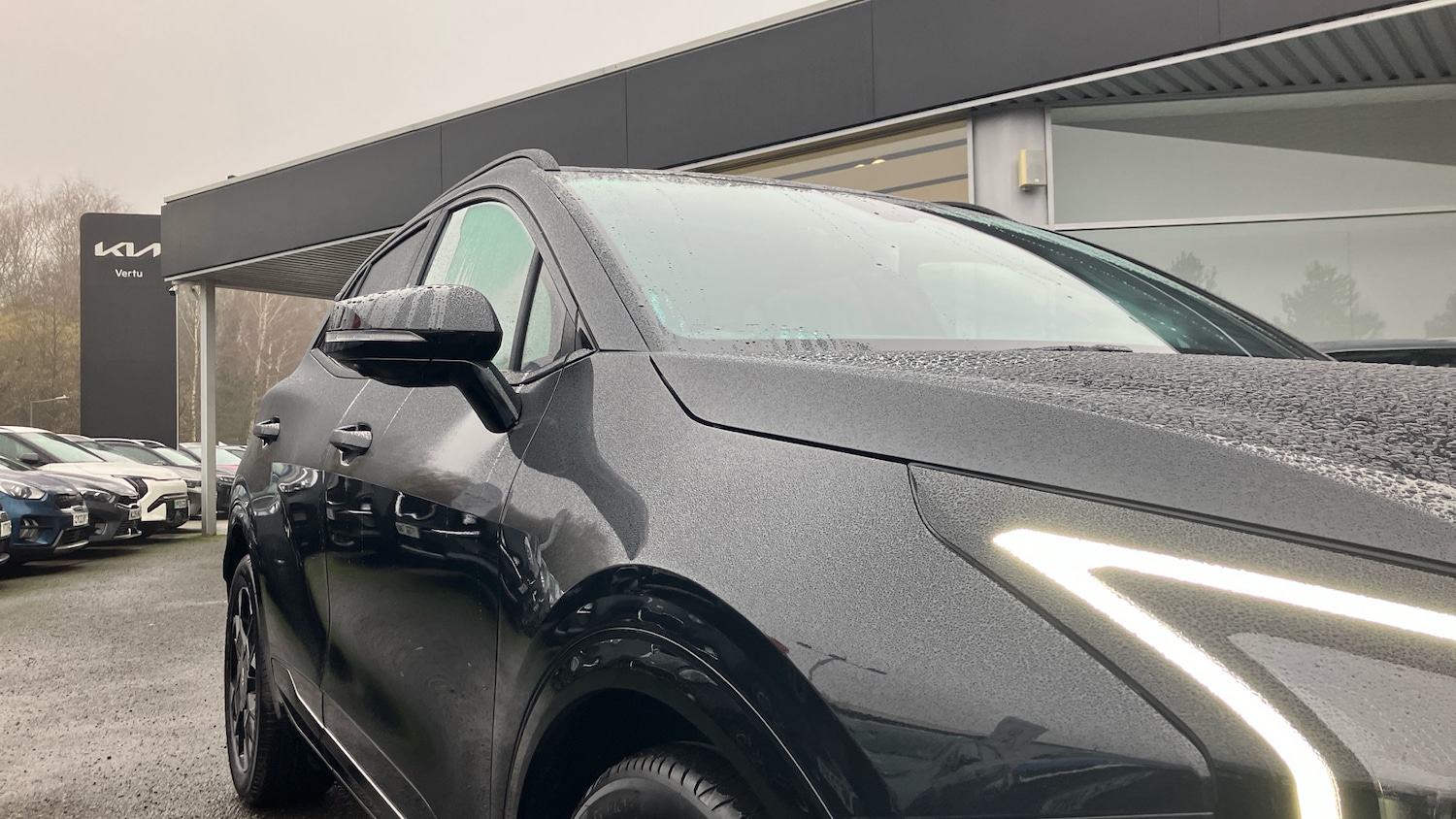 Used Kia Sportage 2025 for sale - 77501176: Photo 32