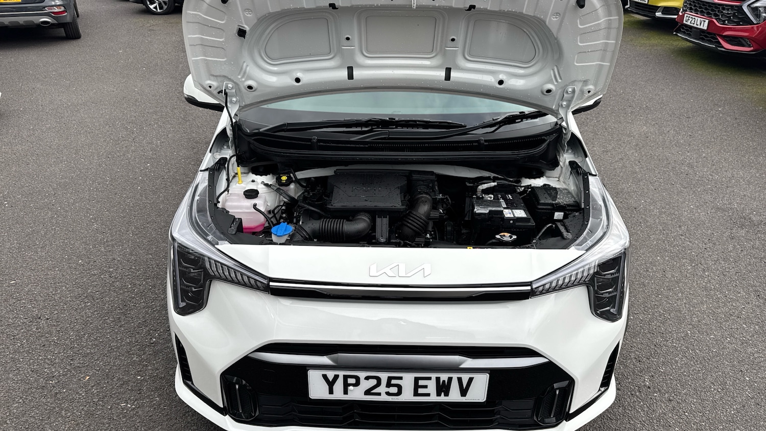 Used Kia Picanto 2025 for sale - 76436491: Photo 8