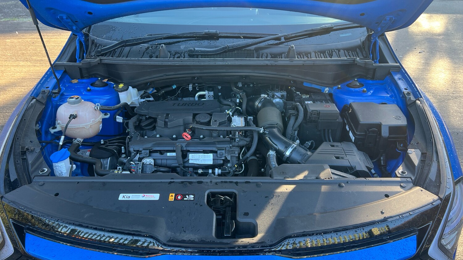 Used Kia Sportage 2022 for sale - 77054693: Photo 8