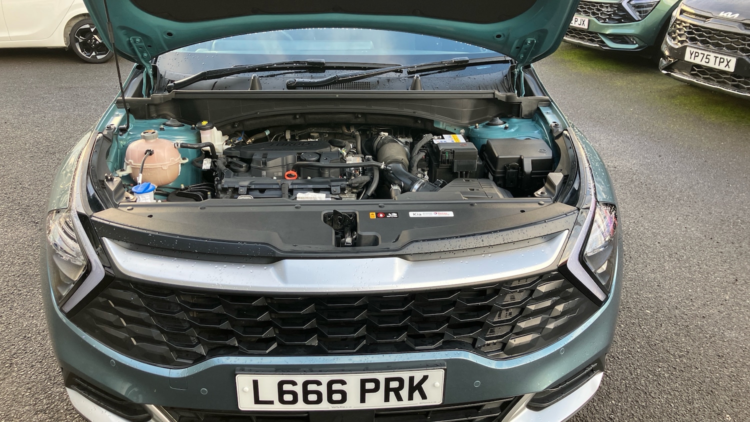 Used Kia Sportage 2023 for sale - 76322487: Photo 8
