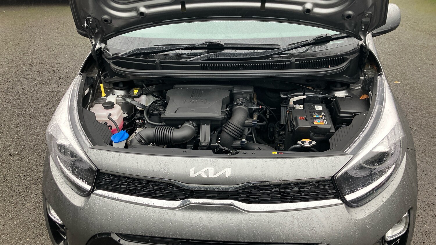 Used Kia Picanto 2023 for sale - 77504027: Photo 8