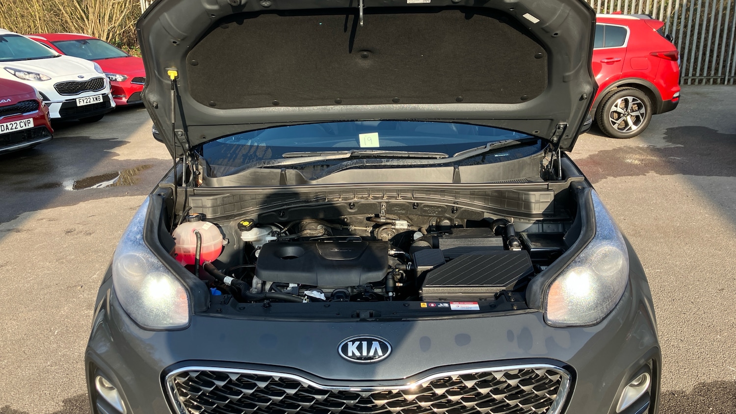 Used Kia Sportage 2021 for sale - 78081603: Photo 8