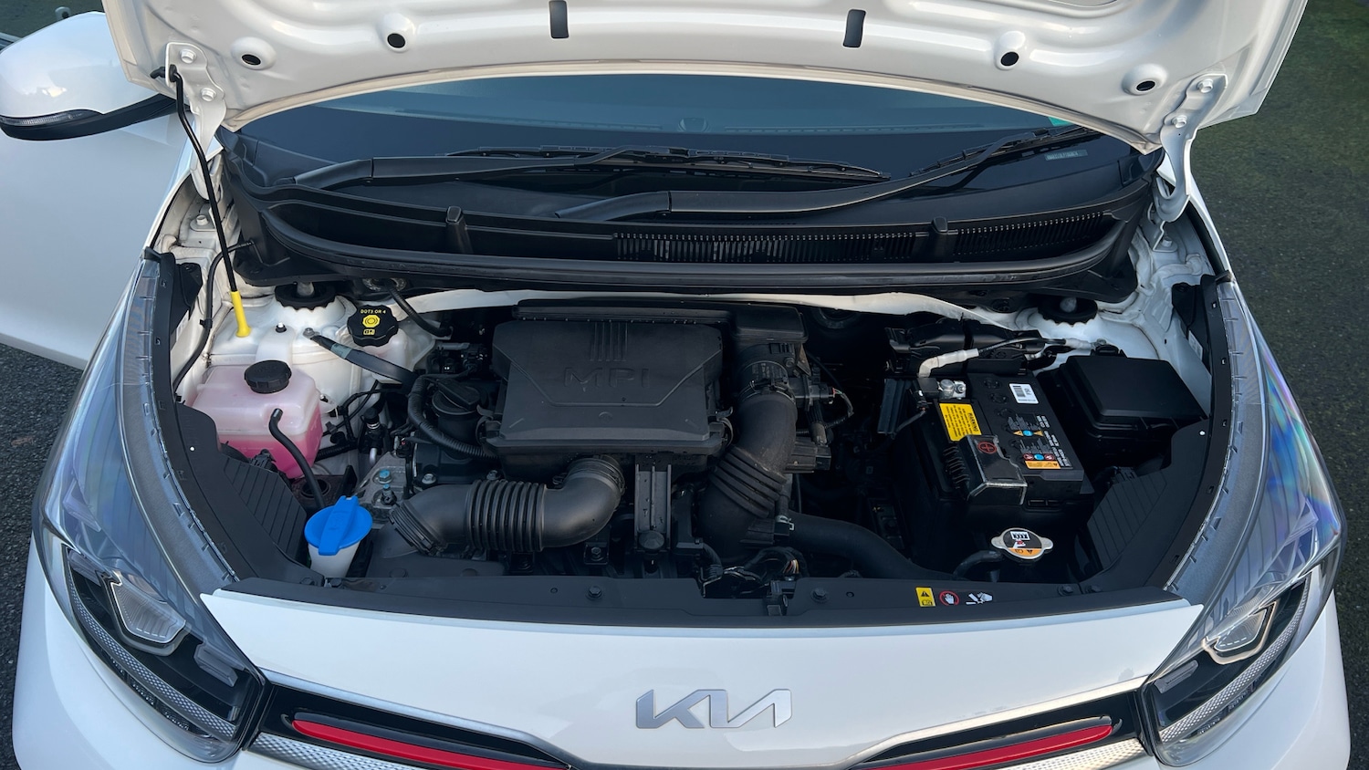 Used Kia Picanto 2023 for sale - 76799037: Photo 8