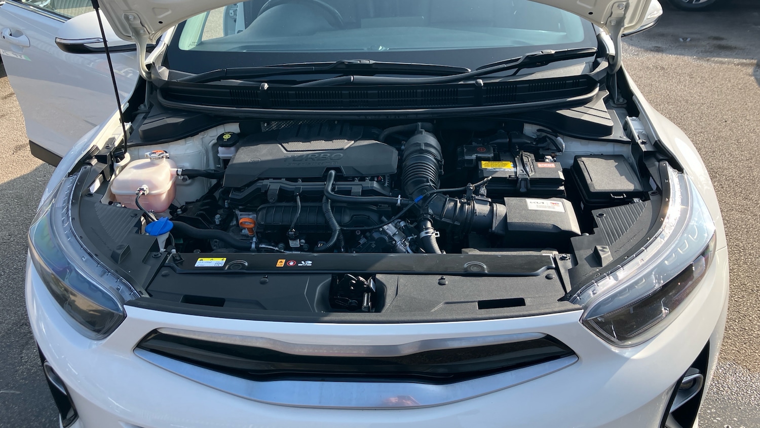 Used Kia Stonic 2023 for sale - 78000828: Photo 8