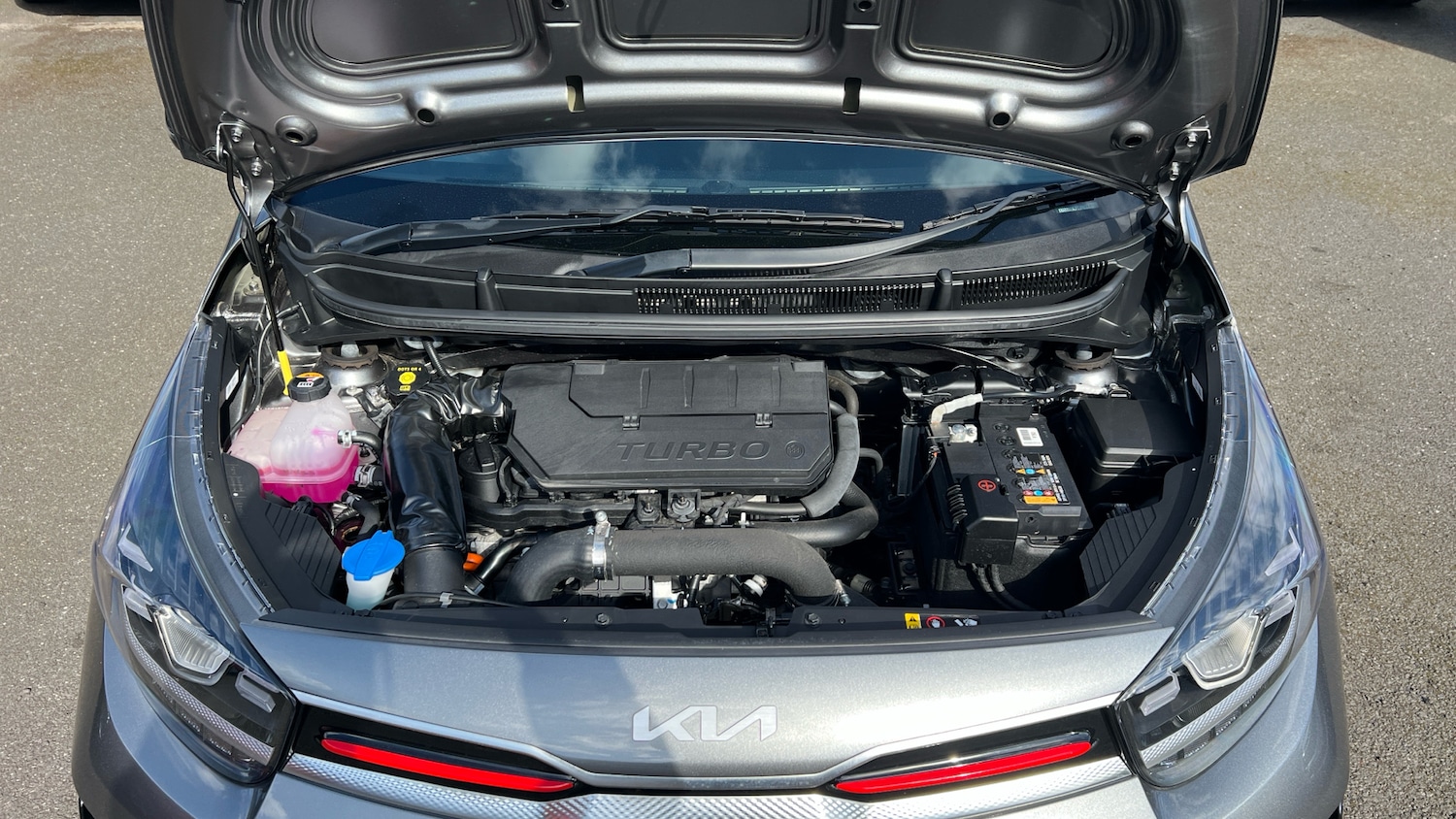 Used Kia Picanto 2023 for sale - 78131346: Photo 8