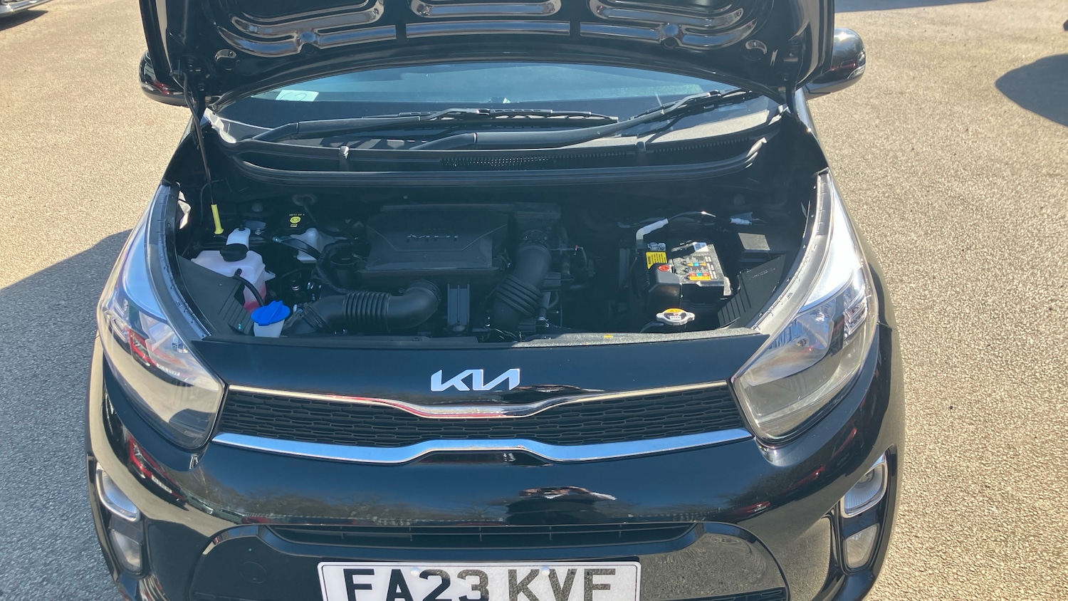 Used Kia Picanto 2023 for sale - 77985206: Photo 8