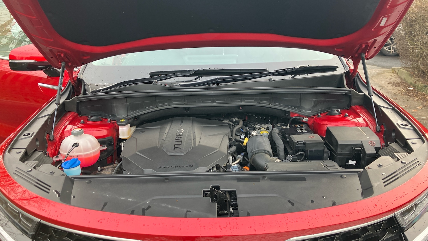 Used Kia Sorento 2021 for sale - 77300299: Photo 8