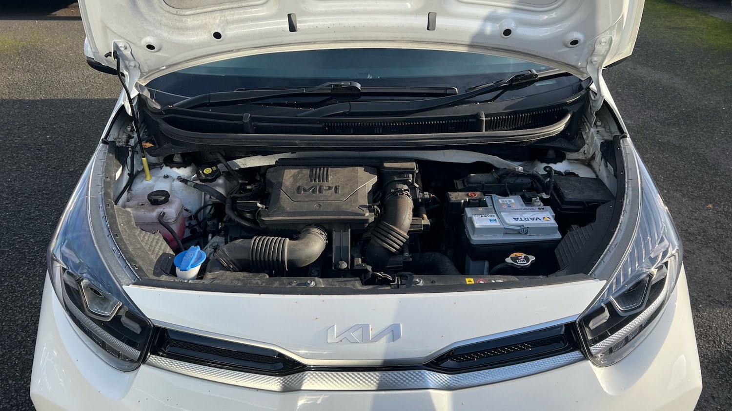 Used Kia Picanto 2022 for sale - 76922391: Photo 8