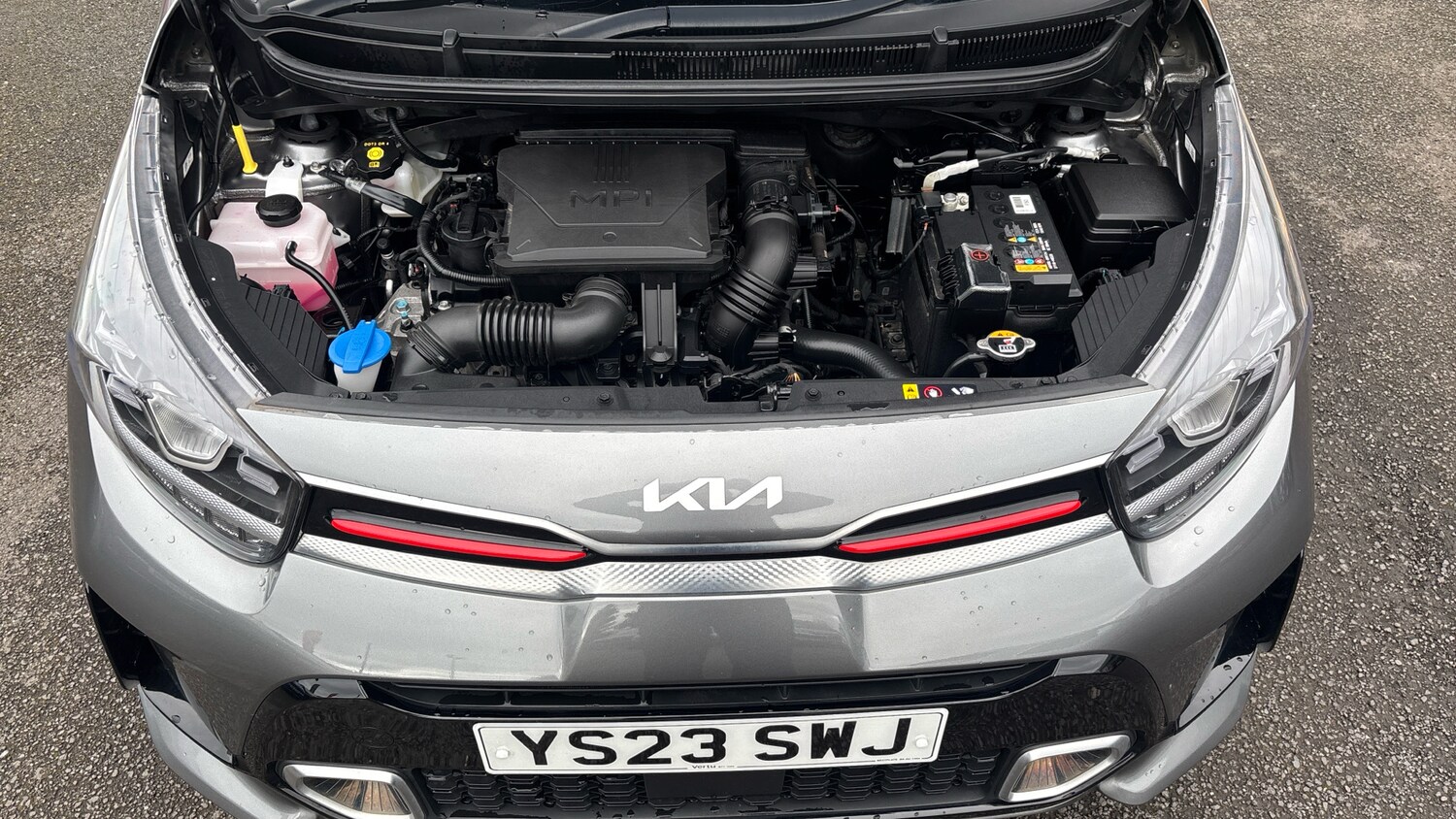 Used Kia Picanto 2023 for sale - 78094955: Photo 8