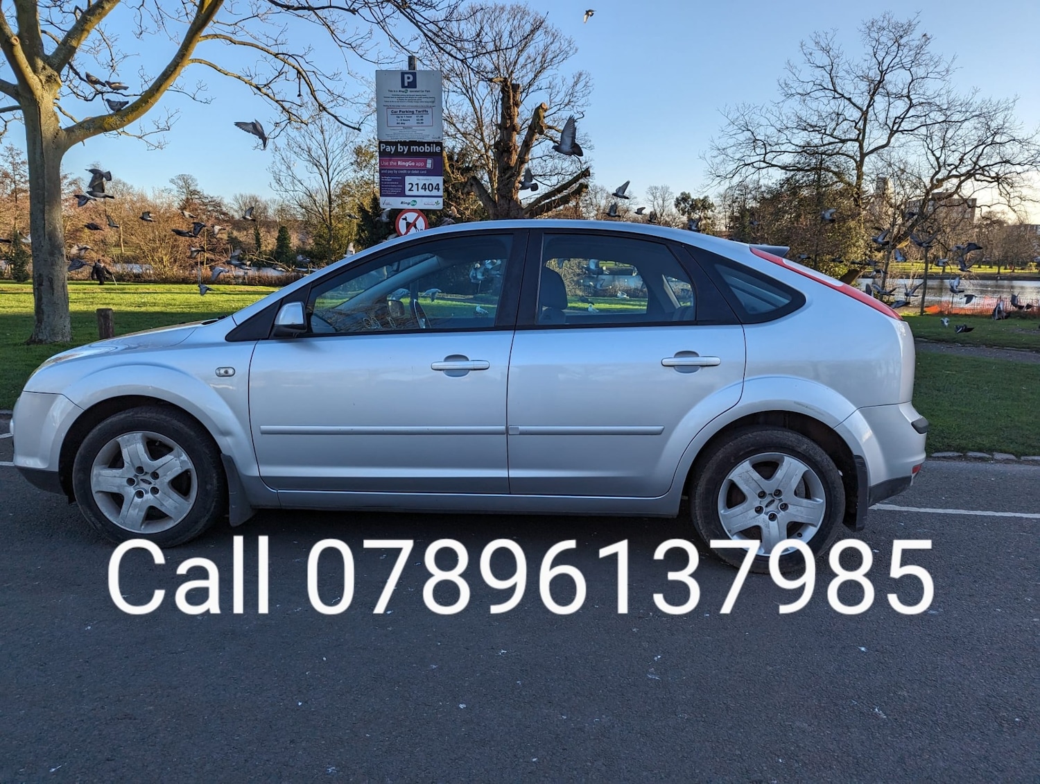 Used Ford Focus 2007 for sale - 77342962: Photo 2