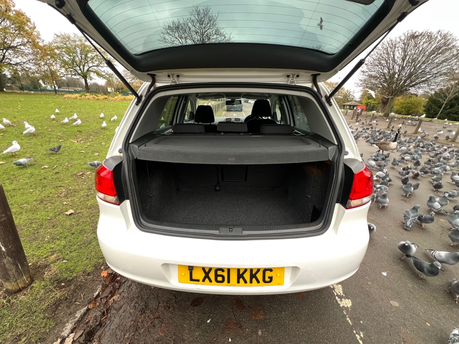 Used Volkswagen Golf 2025 for sale - 76719752: Photo 24