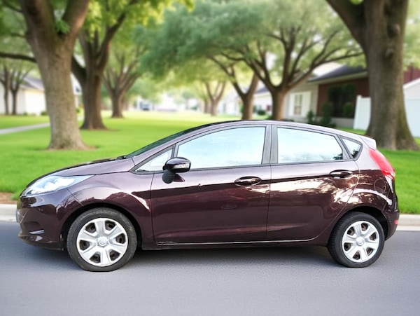 Used Ford Fiesta 2010 for sale - 75624253: Photo 30