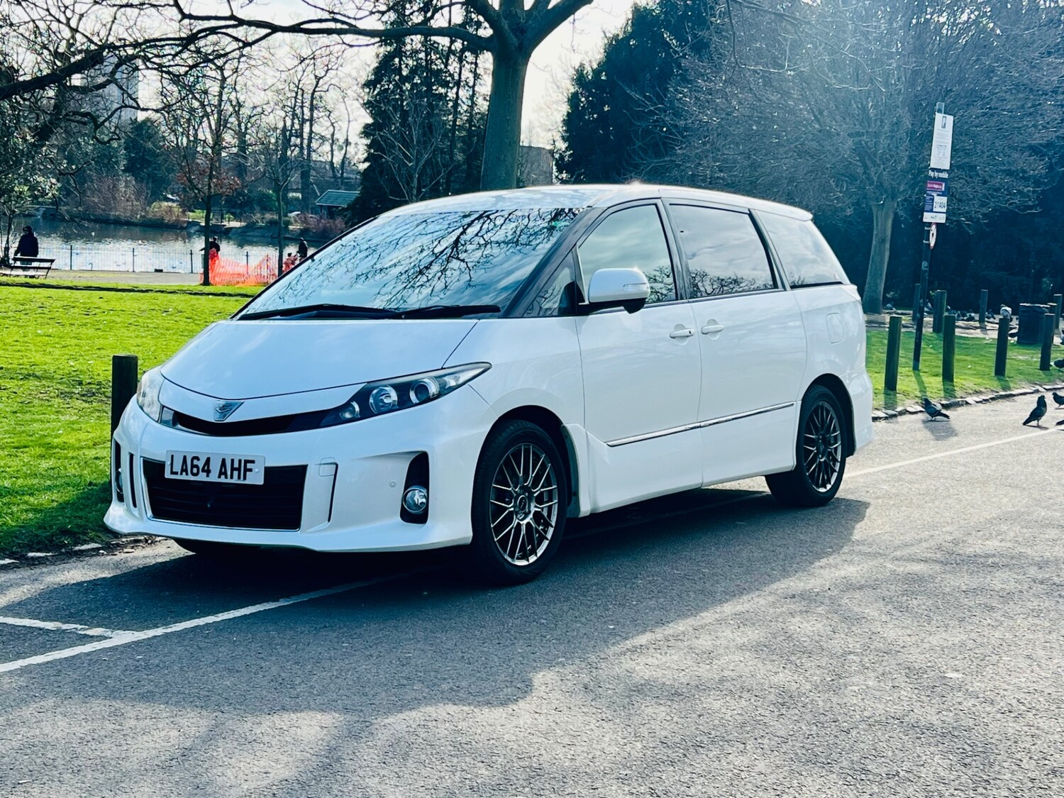 Used Toyota Estima 2026 for sale - 77743023: Photo 6