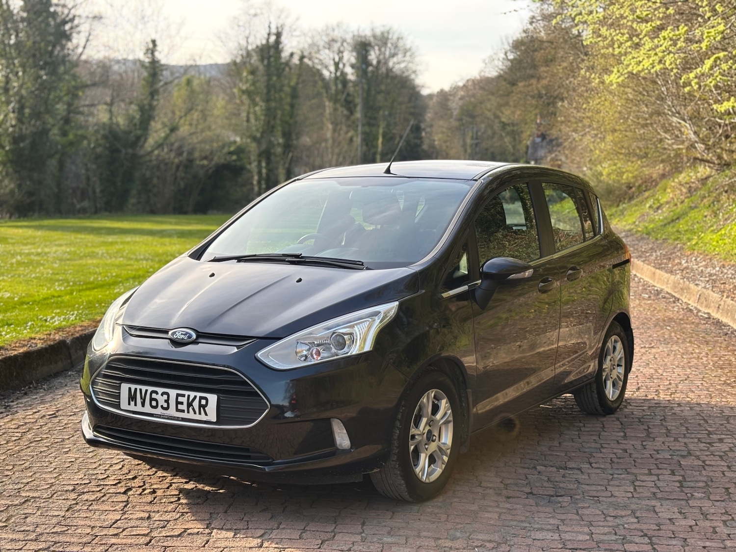 Used Ford B-MAX 2013 for sale - 78180445: Photo 10