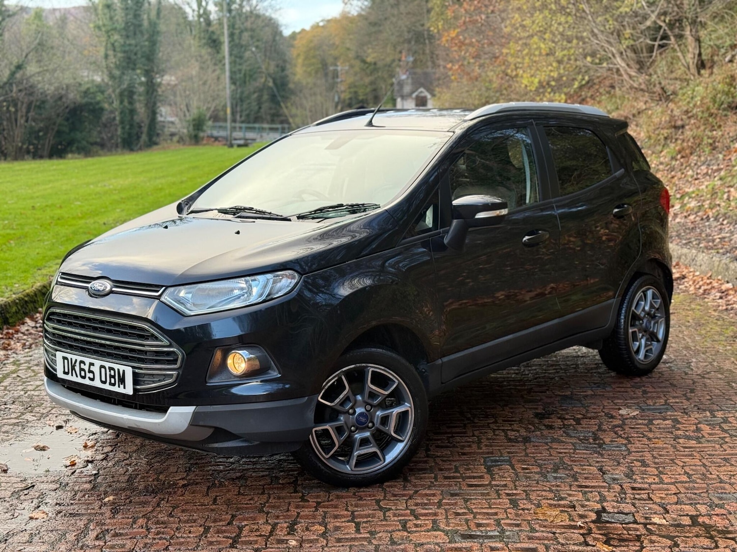 Used Ford Ecosport 2016 for sale - 76688994: Photo 1