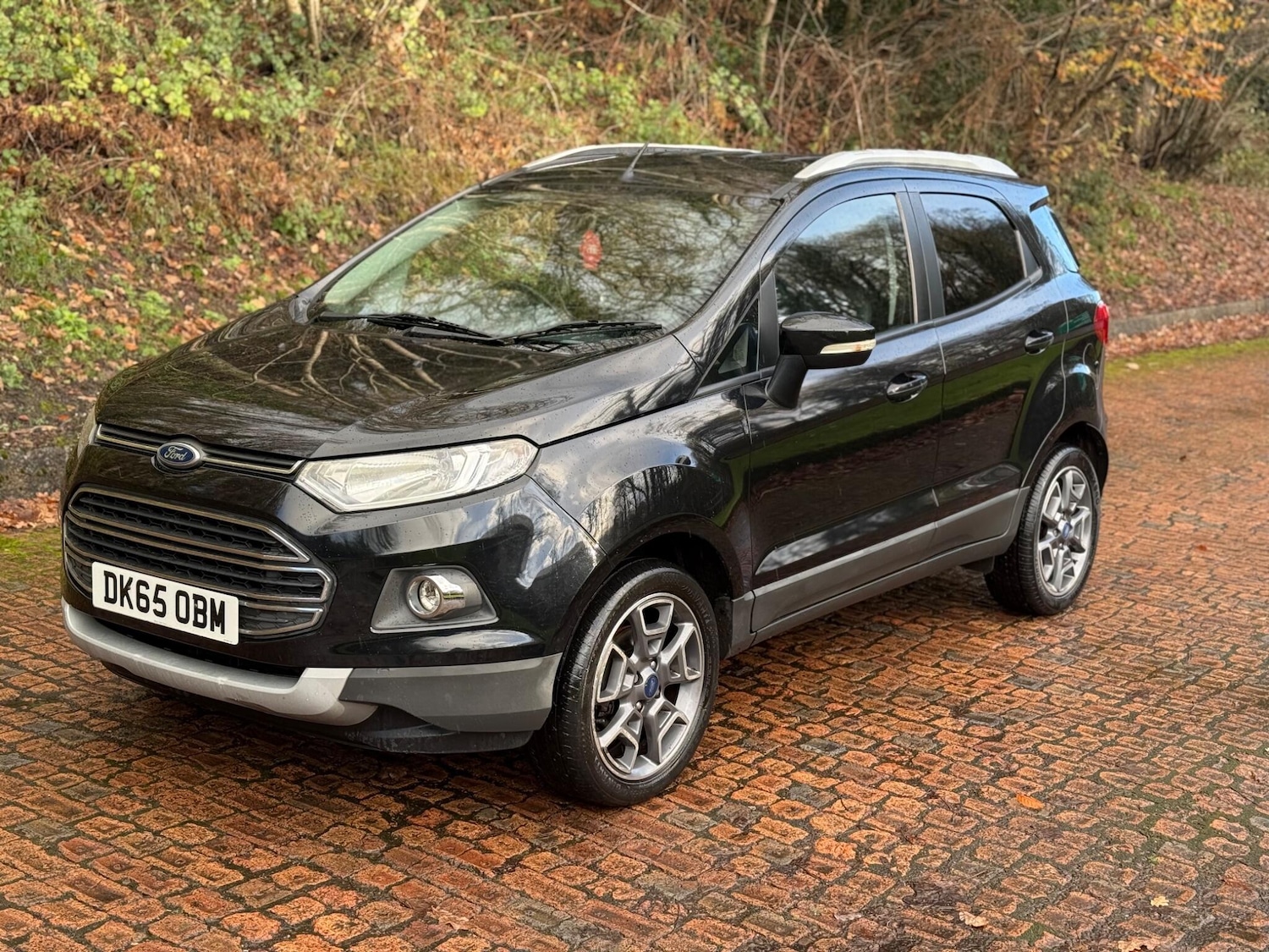 Used Ford Ecosport 2016 for sale - 76688994: Photo 10