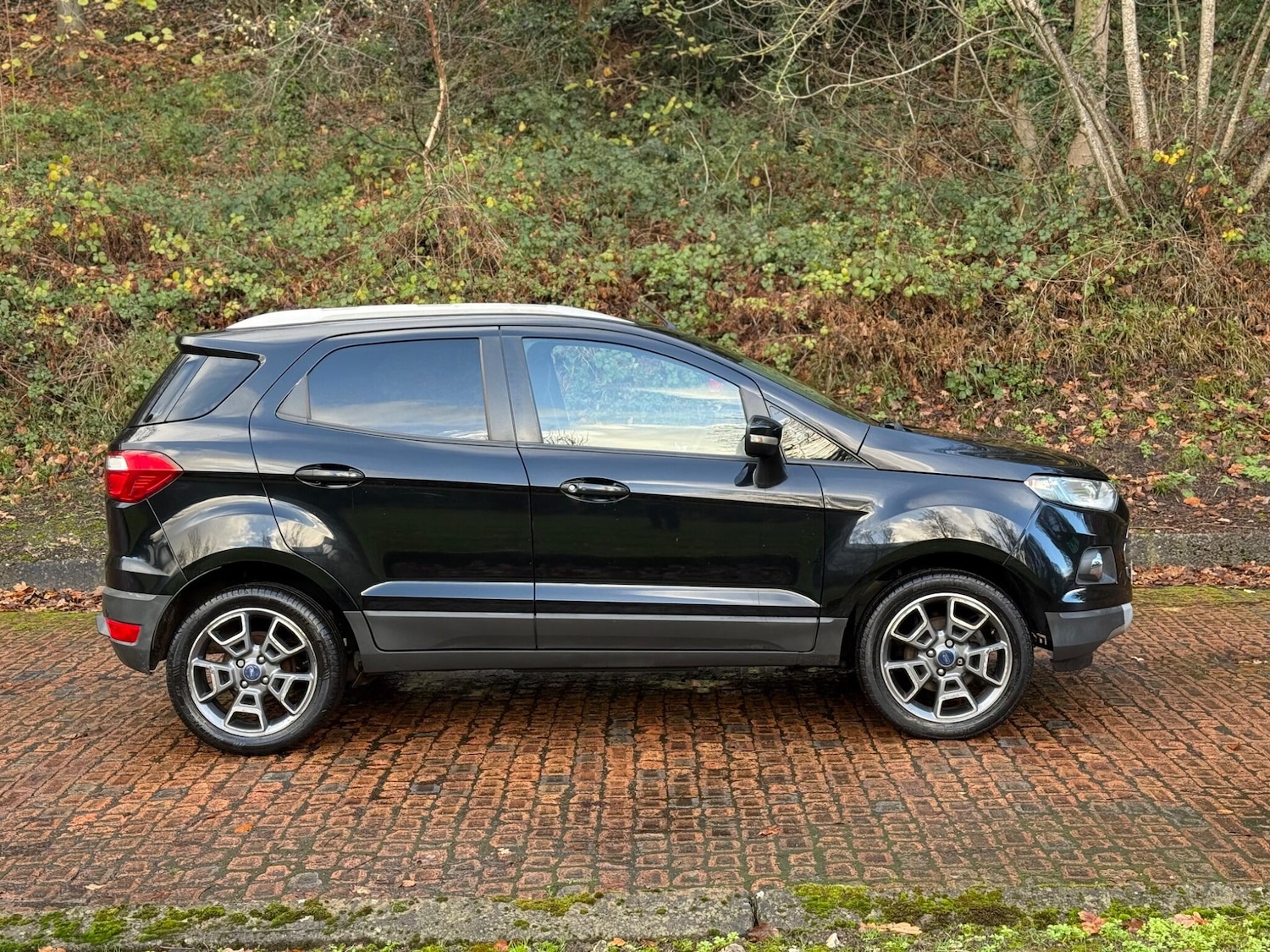 Used Ford Ecosport 2016 for sale - 76688994: Photo 14