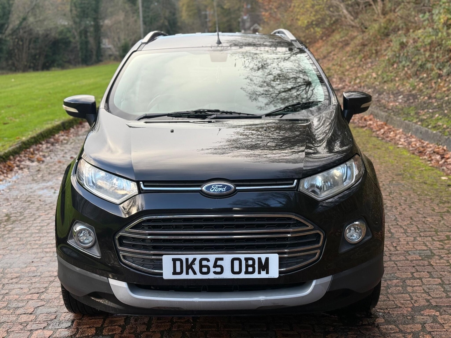 Used Ford Ecosport 2016 for sale - 76688994: Photo 2