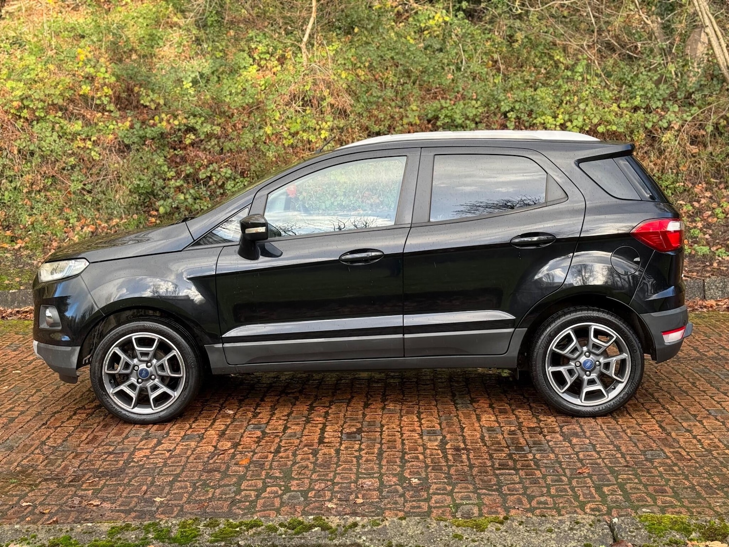 Used Ford Ecosport 2016 for sale - 76688994: Photo 3
