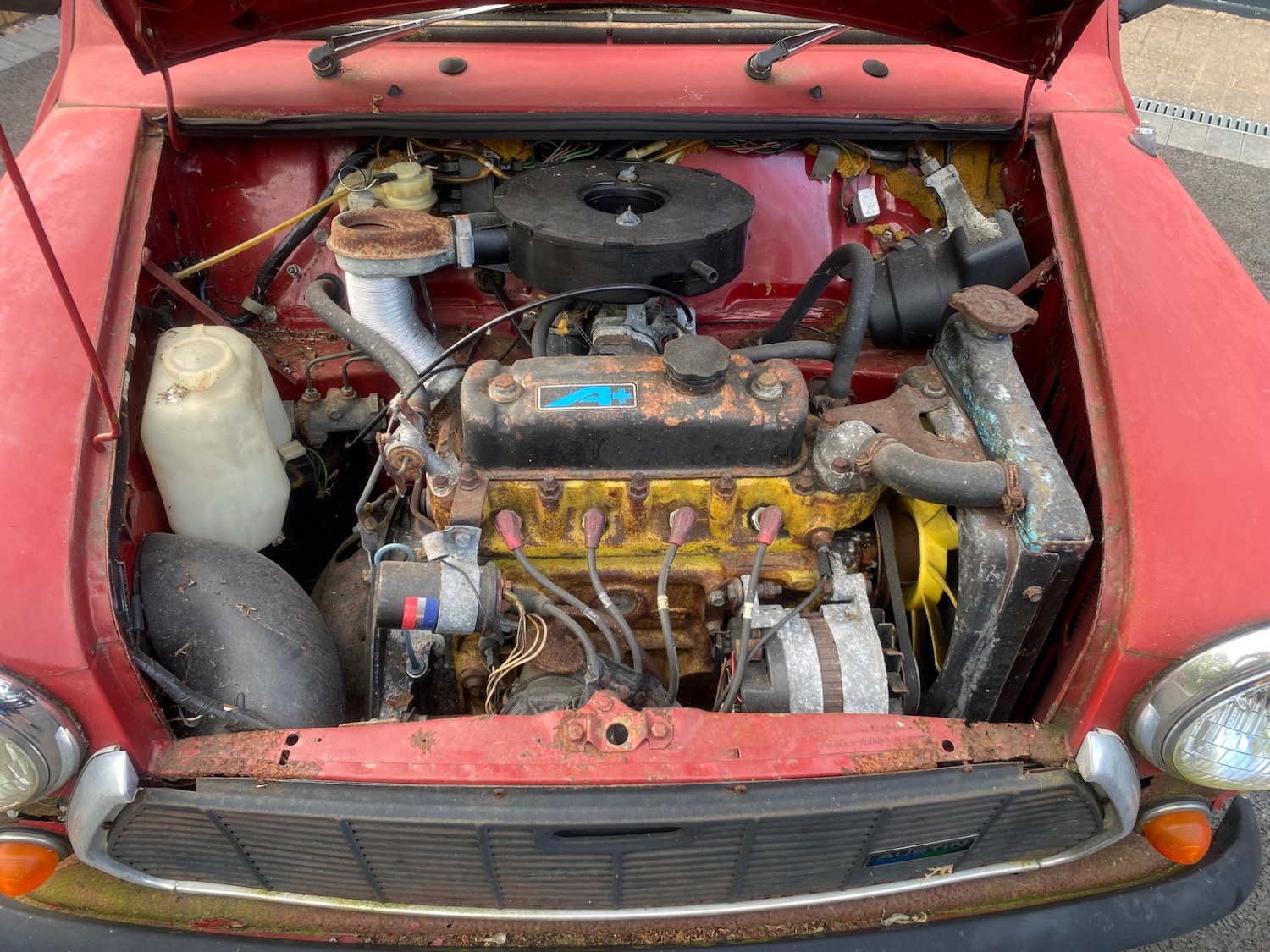 Used Austin Mini 1985 for sale - 76358395: Photo 8