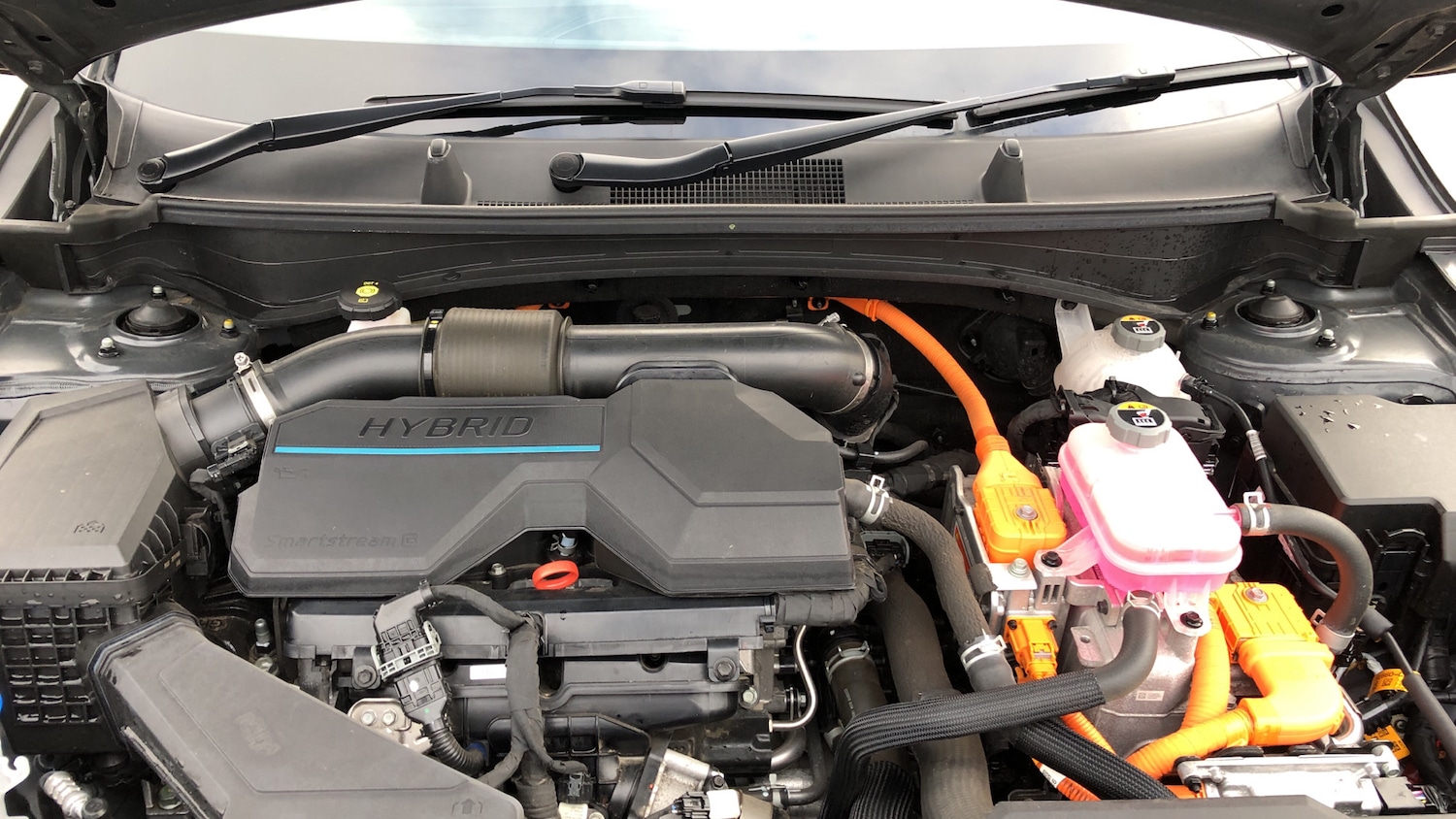 Used Kia Sportage for sale - 77303500: Photo 16