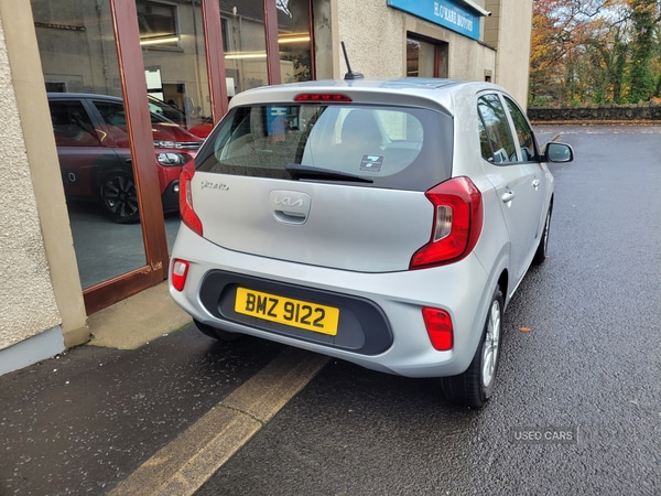 Used Kia Picanto 2023 for sale - 76500369: Photo 5