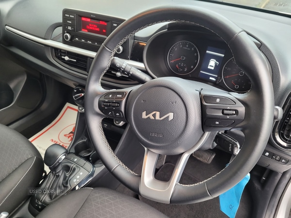 Used Kia Picanto 2023 for sale - 76500369: Photo 8