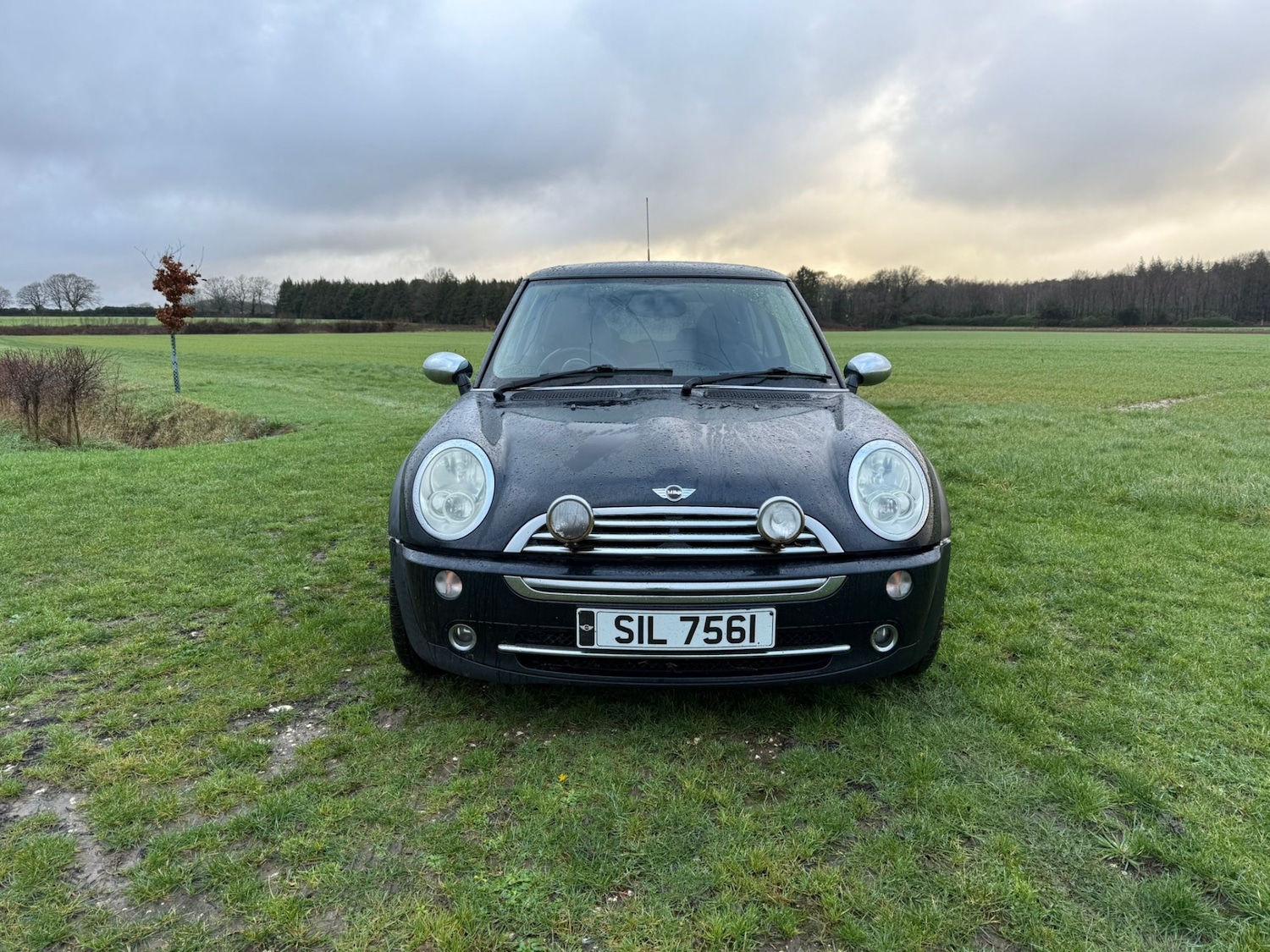 Used MINI Hatch 2006 for sale - 77323500: Photo 3