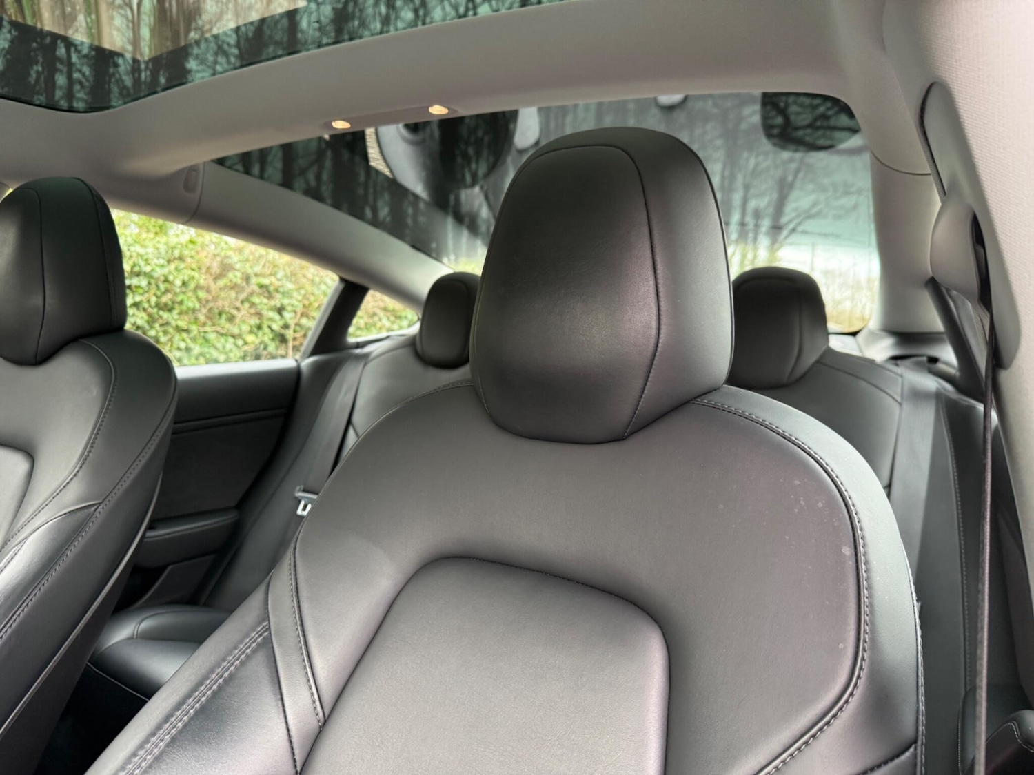 Used Tesla Model 3 for sale - 77824682: Photo 24