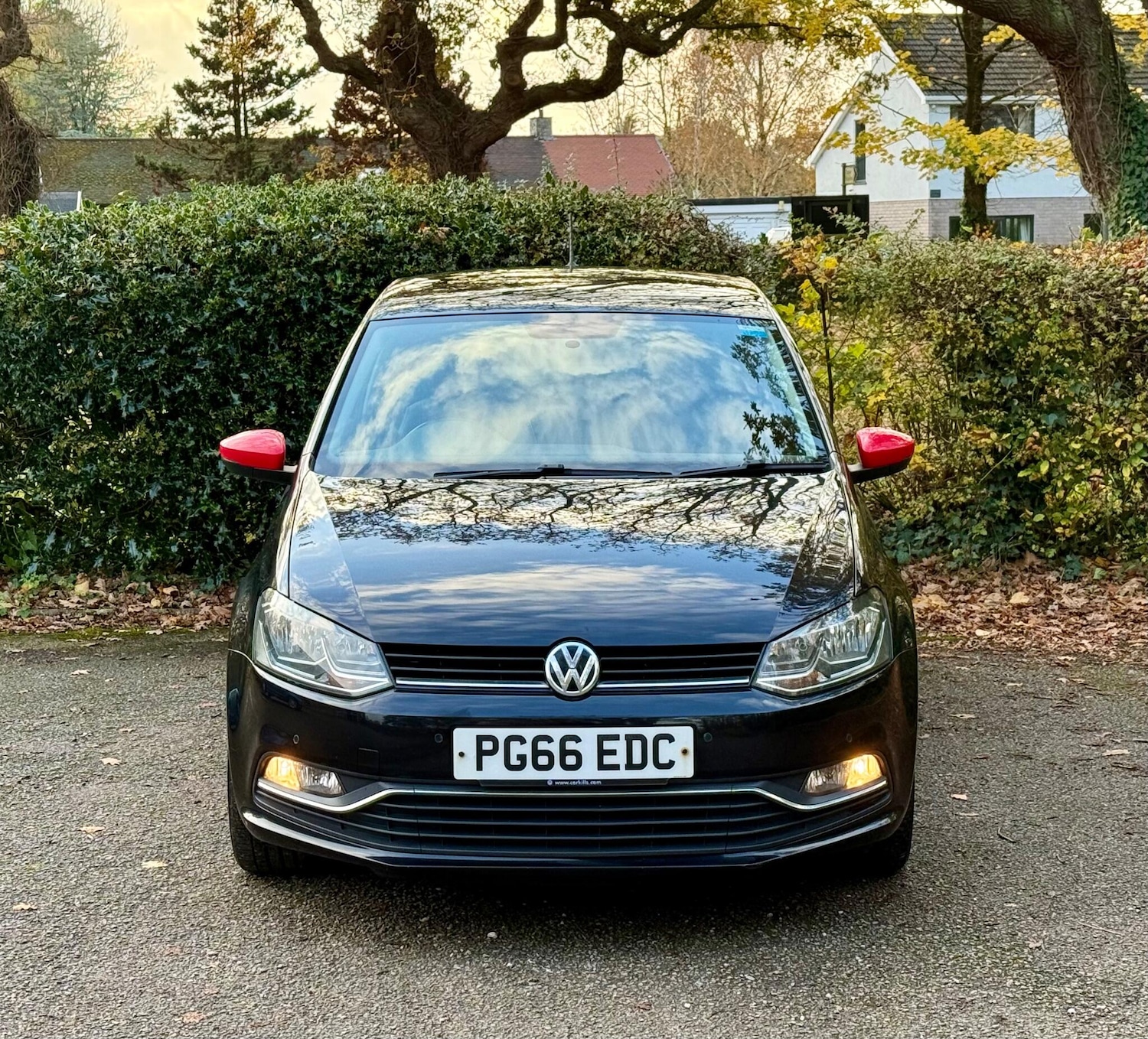 Used Volkswagen Polo 2017 for sale - 76513459: Photo 10