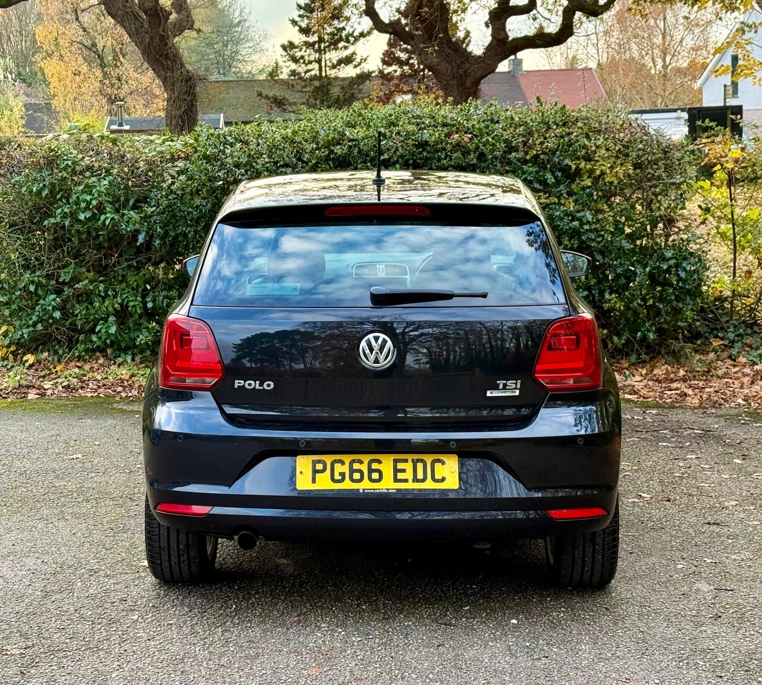 Used Volkswagen Polo 2017 for sale - 76513459: Photo 13