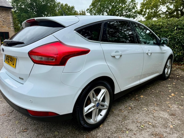 Used Ford Focus 2016 for sale - 76295524: Photo 18
