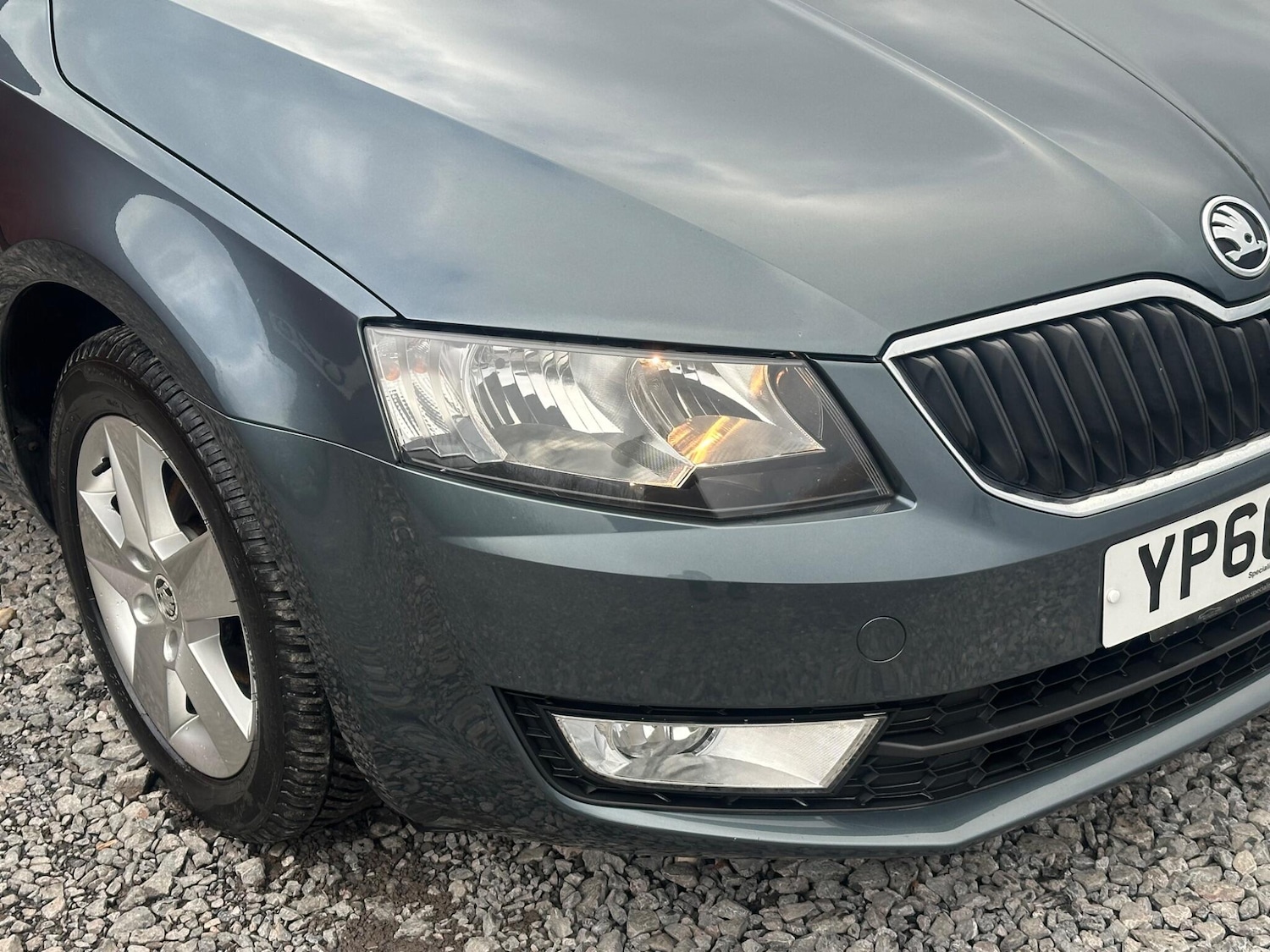 Used Skoda Octavia for sale - 76701550: Photo 5