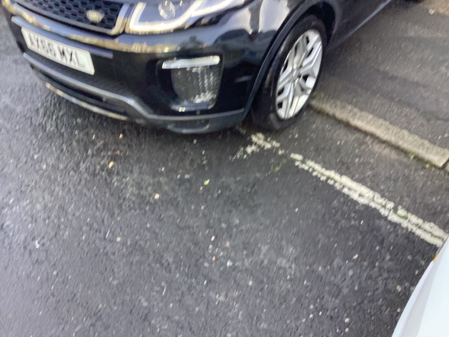 Used Land Rover Range Rover Evoque 2017 for sale - 77125489: Photo 8