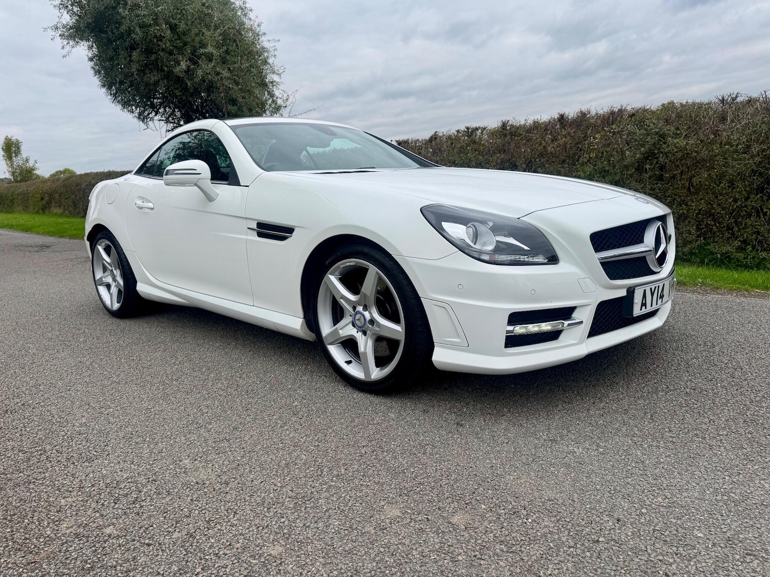 Used Mercedes-Benz SLK 2014 for sale - 77427719: Photo 16