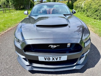 Used Ford Mustang 2016 for sale - 78544471: Photo