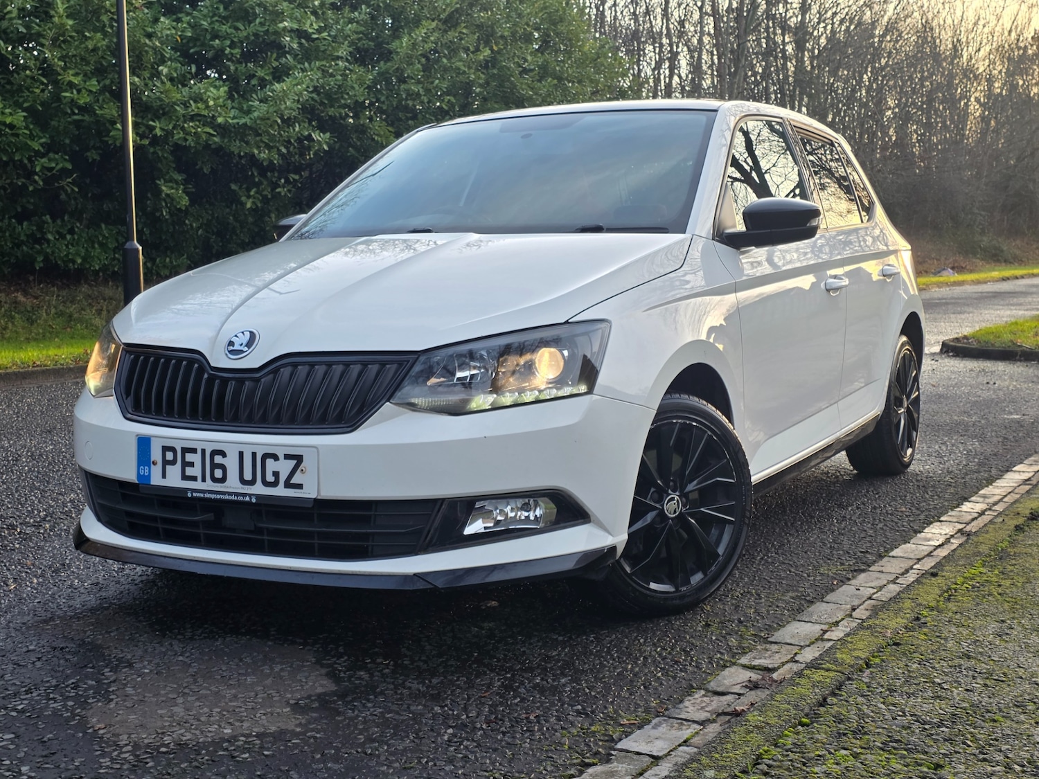 Used Skoda Fabia 2016 for sale - 76935515: Photo 12