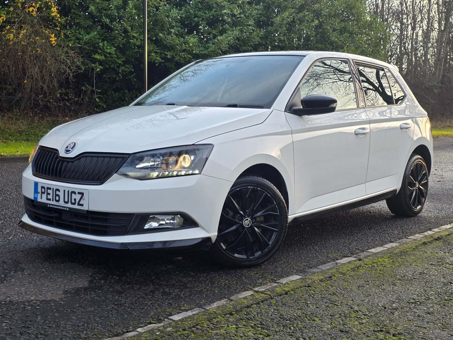 Used Skoda Fabia 2016 for sale - 76935515: Photo 24