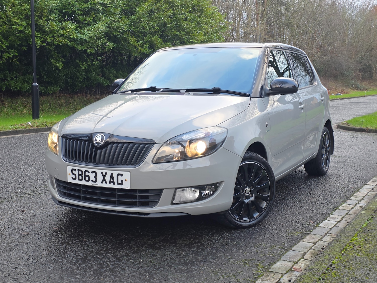 Used Skoda Fabia 2013 for sale - 77370876: Photo 10