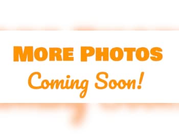 Used Peugeot 3008 2019 for sale - 77274664: Photo