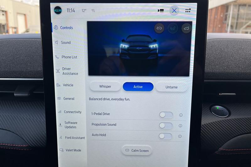 Used Ford Mustang Mach-E 2022 for sale - 76458519: Photo 29