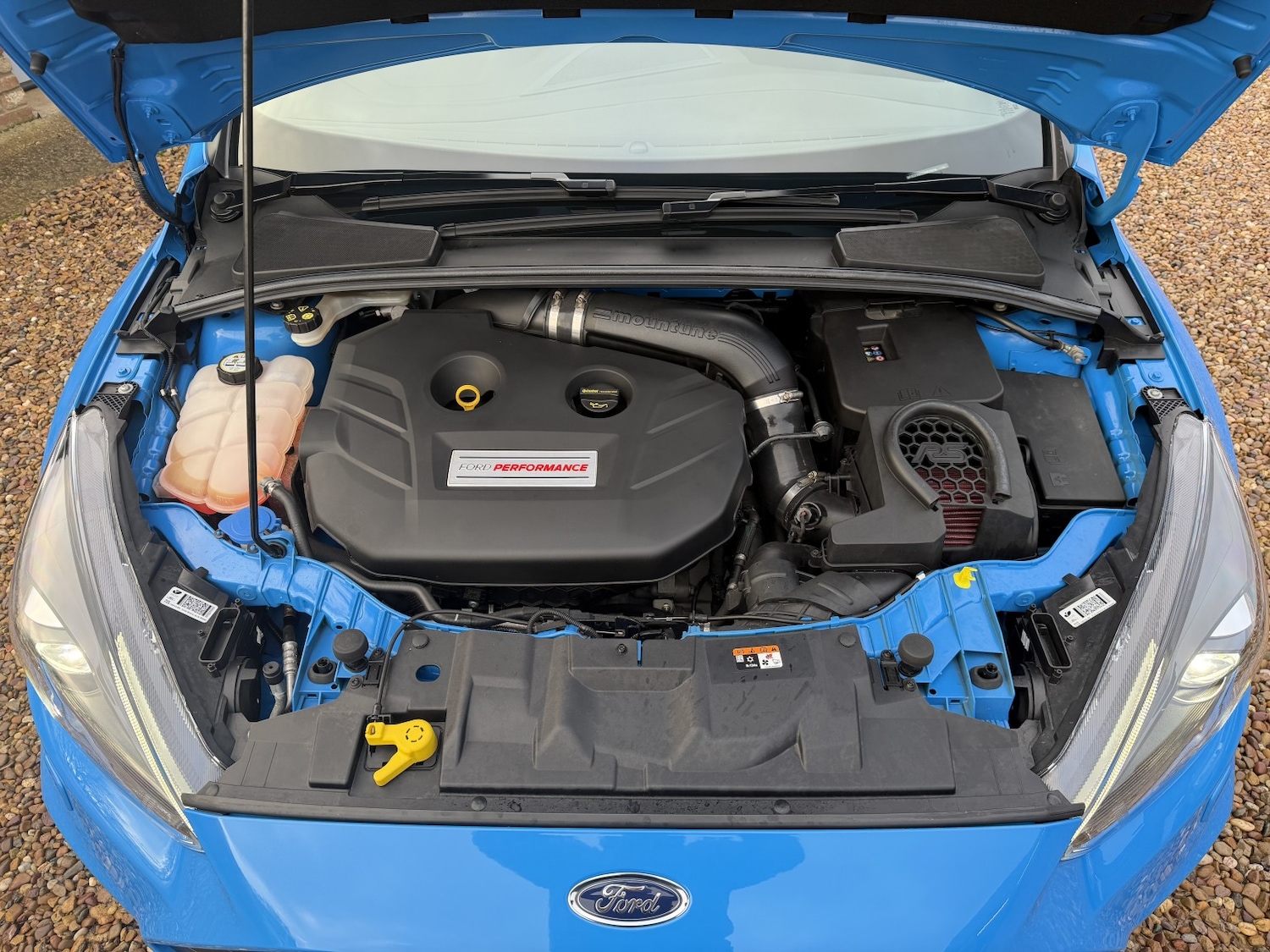 Used Ford Focus 2016 for sale - 77237072: Photo 32