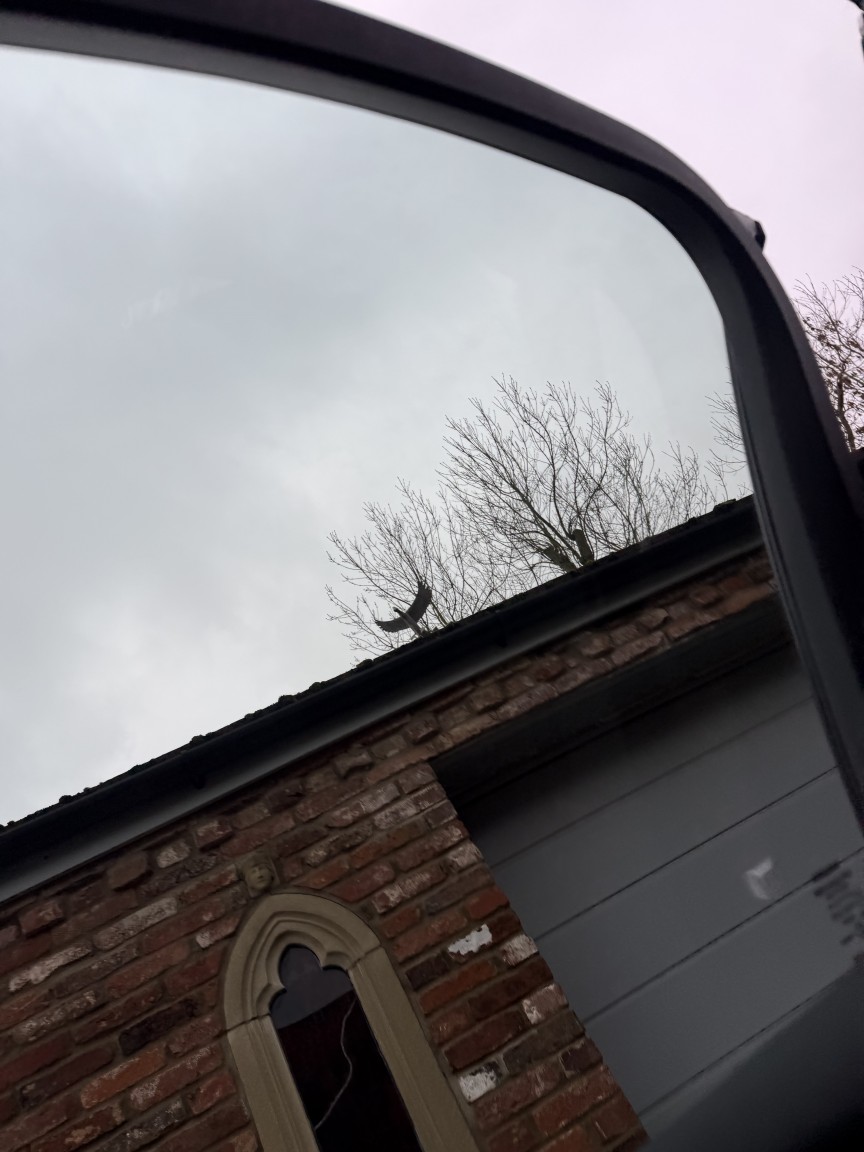 Used Volvo XC60 2020 for sale - 77329149: Photo 7