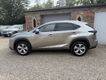 Used Lexus NX 2017 for sale - 79524649: Photo