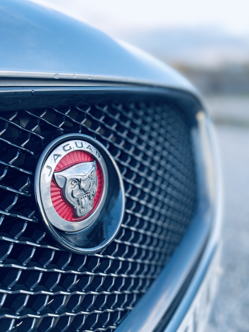 Used Jaguar XF 2014 for sale - 76817513: Photo 11